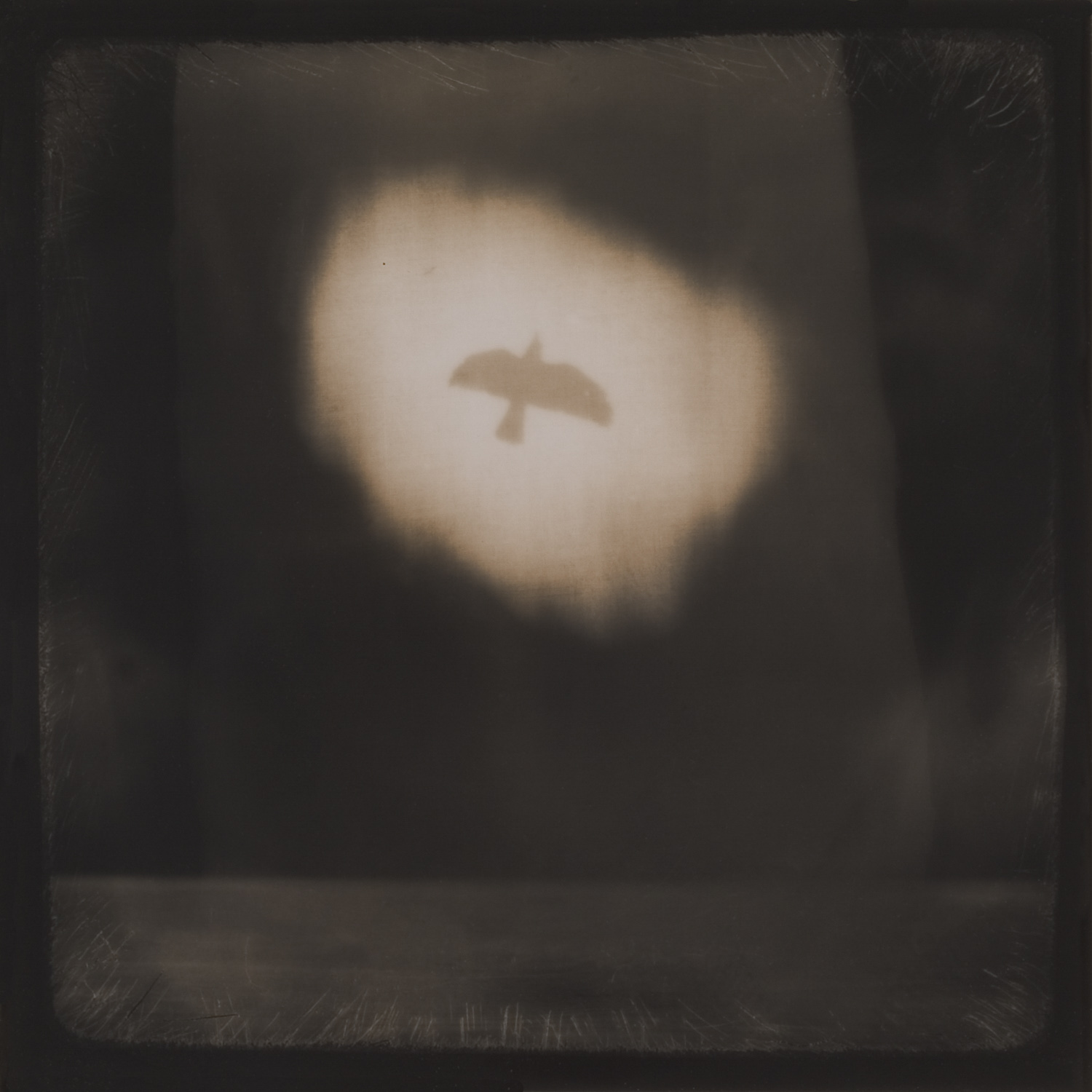 from the series Tales